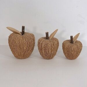 Vintage Farmhouse Rustic Set of 3 Handwoven Grapevine Wicker & Wood Apple Decor